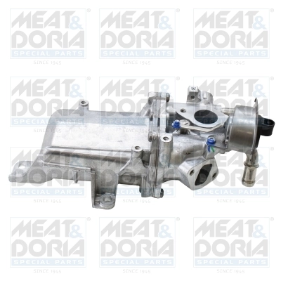 EGR Module